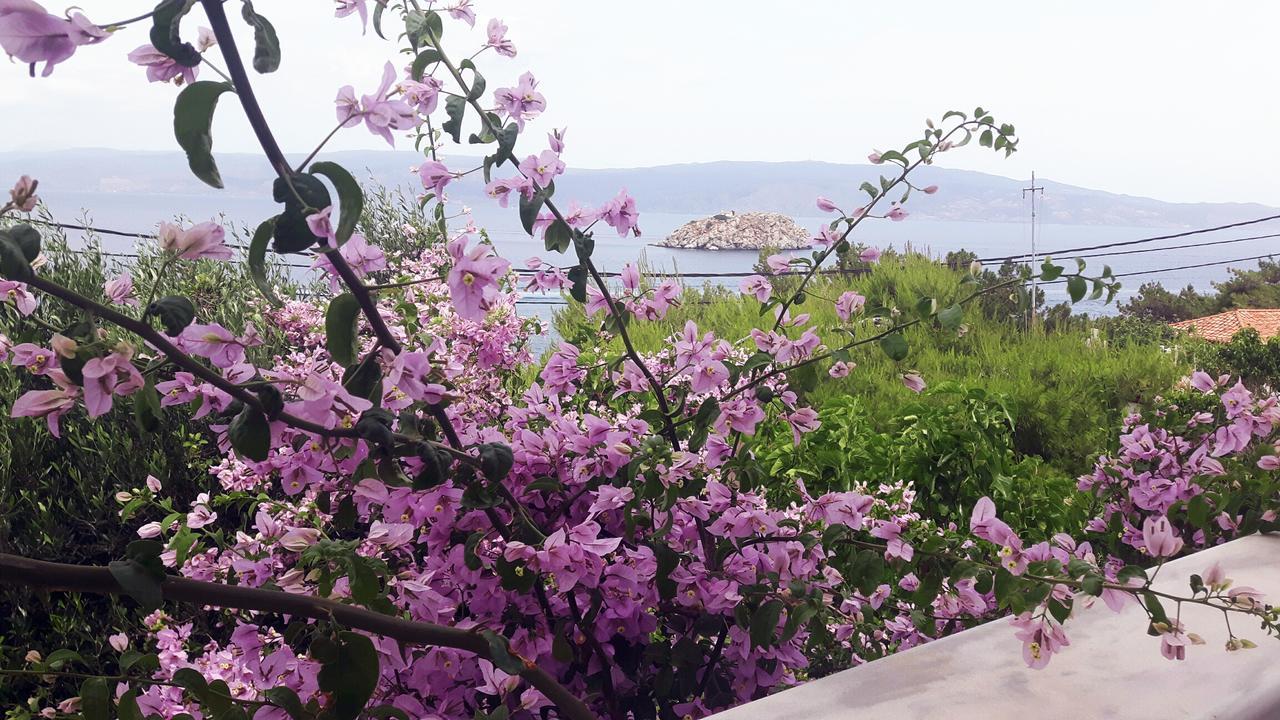 Vlichos Studio Apartment Ύδρα Εξωτερικό φωτογραφία